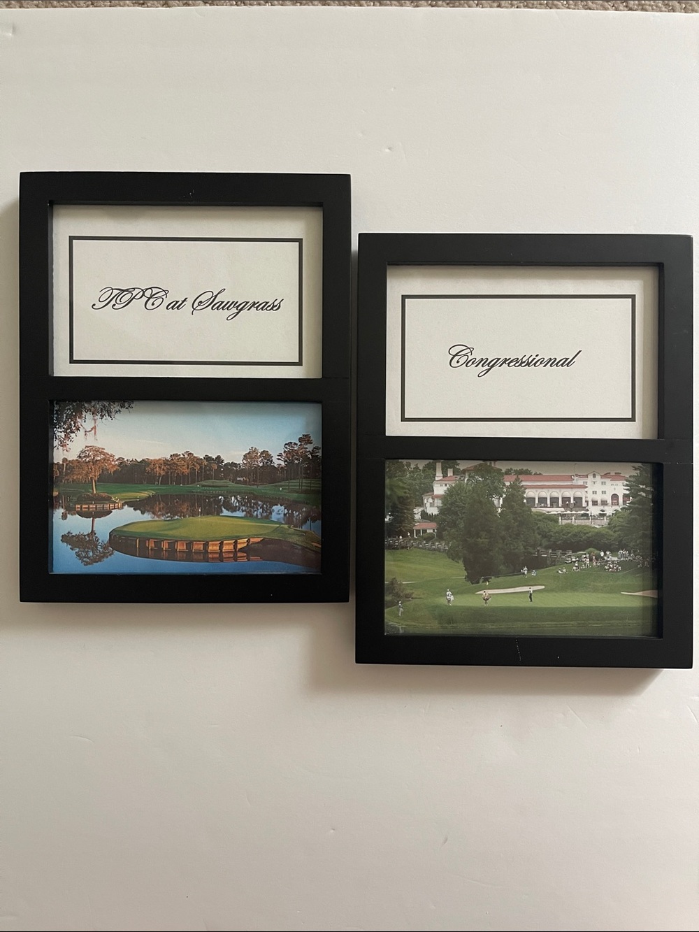 TPC at Sawgrass & Congressional Golf Course Pictures